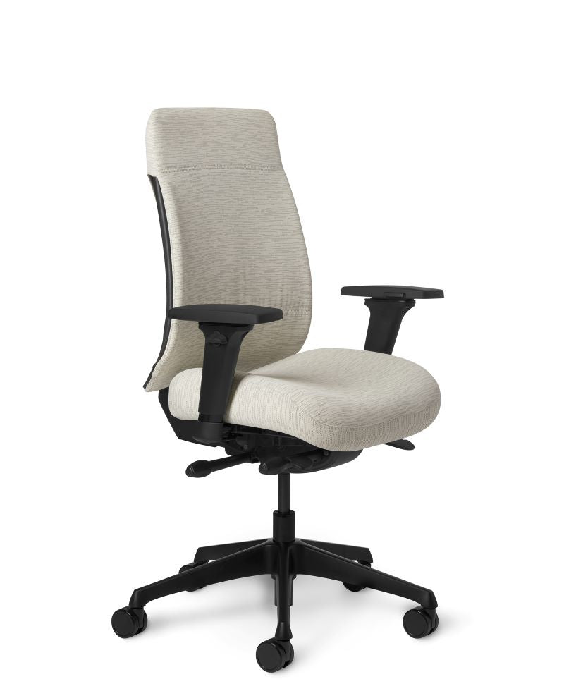 Office Master Truly TY628 Ergonomic Chair