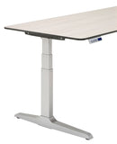 Workrite Sierra Rectangular Electric Height Adjustable Desk
